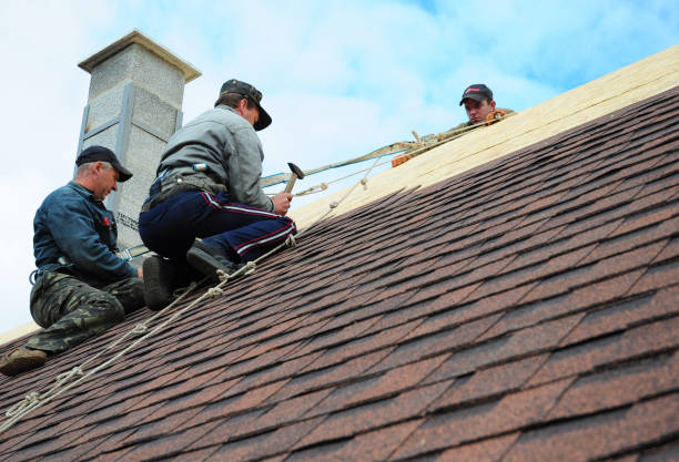 Best Residential Roofing Contractor  in Homestead, FL